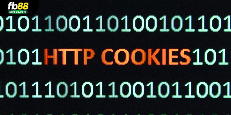 Chính sách bảo mật 4 Cookie có thể được điều chỉnh để lưu trữ dữ liệu theo ý muốn