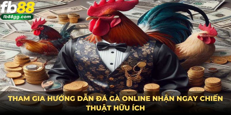 Hướng Dẫn Đá Gà Online - Trải Nghiệm Từ Sân Chơi Đẳng Cấp 4 Tham gia hướng dẫn đá gà online nhận ngay chiến thuật hữu ích