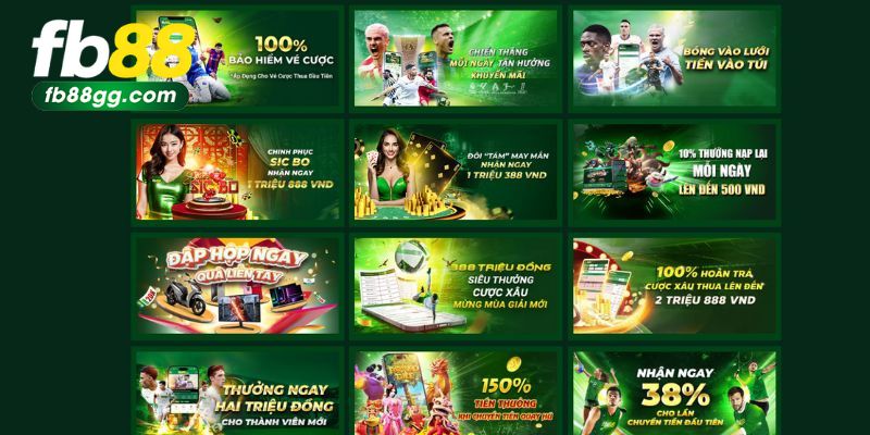ĐĂNG KÝ FB88 5 Khuyến mãi đặc biệt khi là thành viên của nhà cái