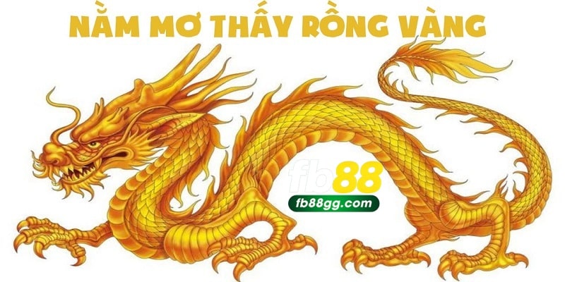 Mơ Thấy Rồng Đánh Số Gì? Giải Mã Con Số May Mắn Nhất 3 Nằm mơ thấy rồng đánh số gì trong từng ngữ cảnh có màu sắc khác nhau